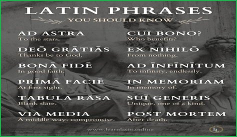 A Profile Of A Latin Beauty